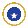 Professional team icon